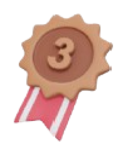 Third Place Medal